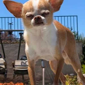 Meet your Posher, Keith